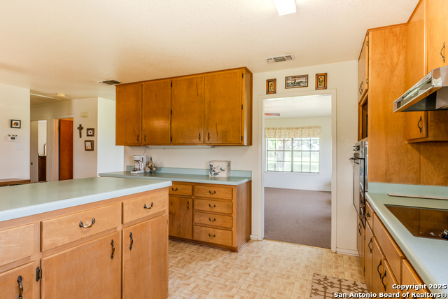 8041 Fm 2200, Yancey, Texas image 14