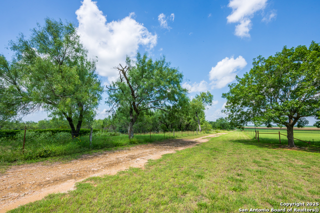 8041 Fm 2200, Yancey, Texas image 17