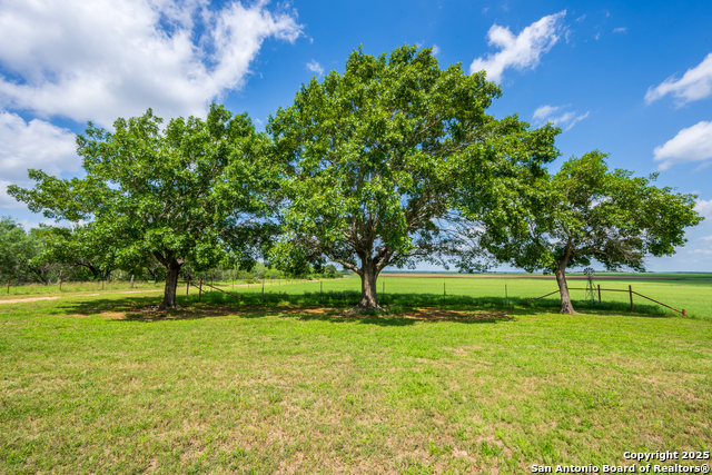 8041 Fm 2200, Yancey, Texas image 19