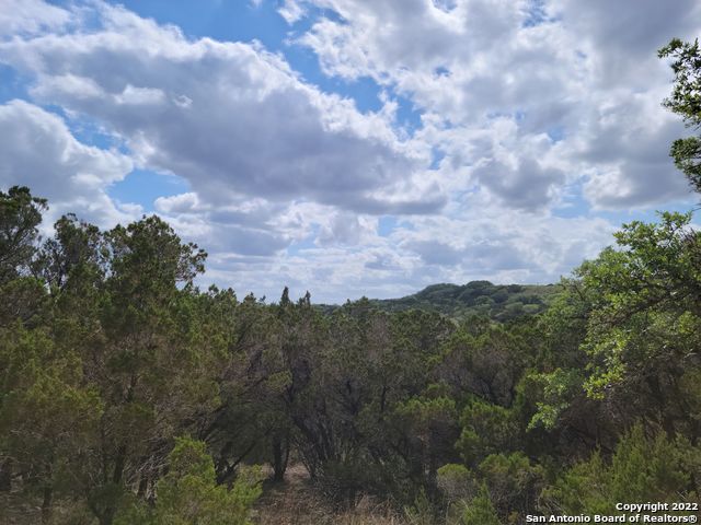 2515 Smoke Rise, Bulverde, Texas image 11
