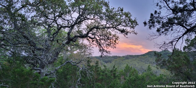2515 Smoke Rise, Bulverde, Texas image 2