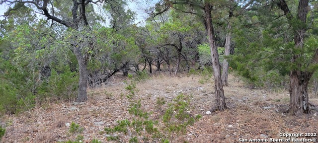 2515 Smoke Rise, Bulverde, Texas image 20