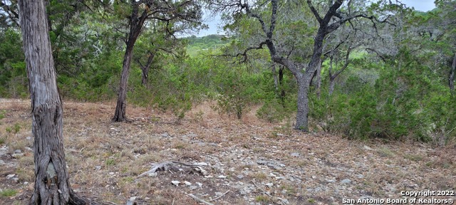2515 Smoke Rise, Bulverde, Texas image 22