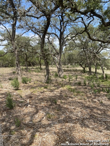 24510 Paraiso Ridge, San Antonio, Texas image 6