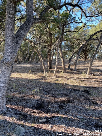 34749 Carries Creek, Bulverde, Texas image 2
