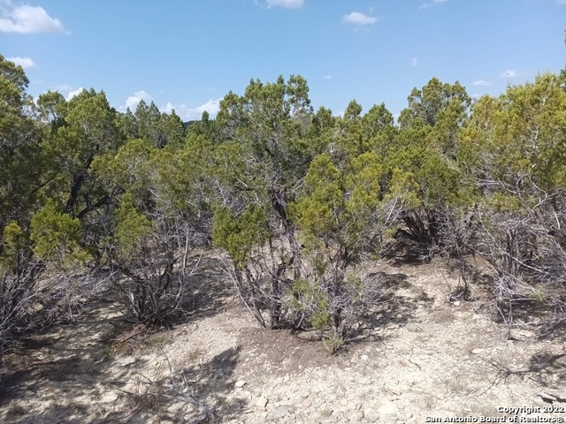 Tejas, Bandera, Texas image 5