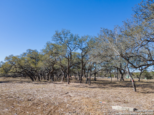 34760 Carries Creek Dr, Bulverde, Texas image 11
