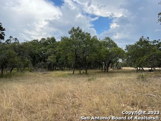 34676 Ansley Ridge Trl, Bulverde, Texas image 9