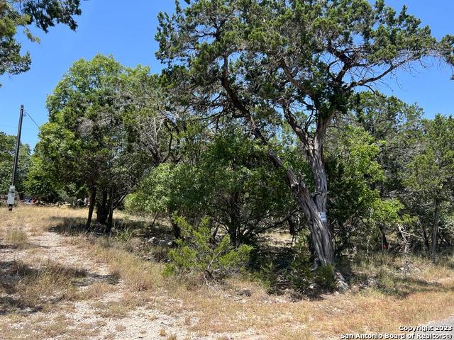 619 Cactus Flower, Canyon Lake, Texas image 1