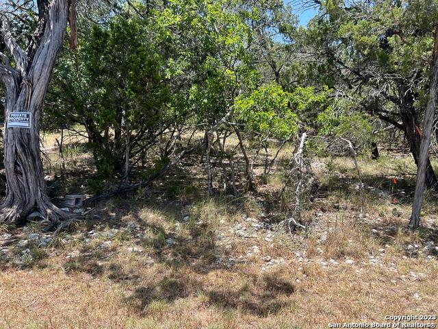 619 Cactus Flower, Canyon Lake, Texas image 11