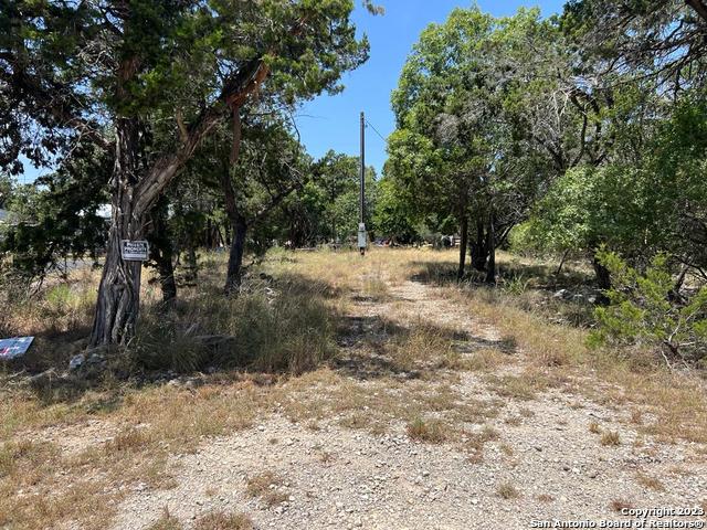 619 Cactus Flower, Canyon Lake, Texas image 14