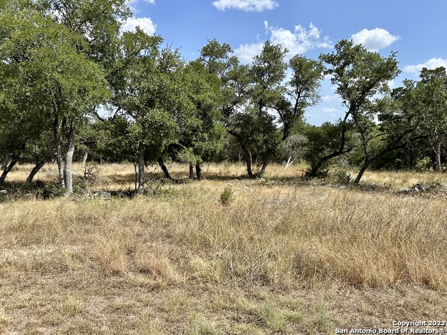 607 Copper Trace, New Braunfels, Texas image 2