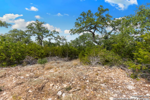 1468 Stahlman Way, New Braunfels, Texas image 2