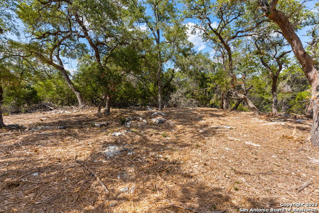 1468 Stahlman Way, New Braunfels, Texas image 3