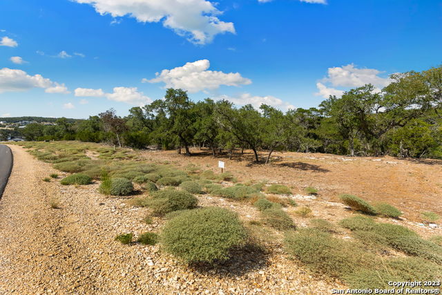 1468 Stahlman Way, New Braunfels, Texas image 6
