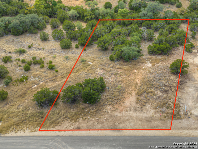 1213 Salt Lick Dr, New Braunfels, Texas image 1