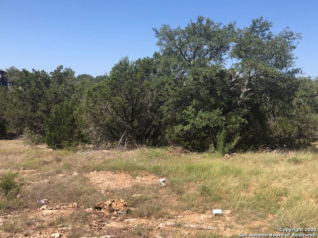 1213 Salt Lick Dr, New Braunfels, Texas image 5