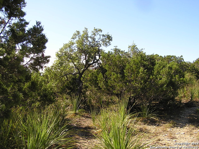 607 Solo St, San Antonio, Texas image 3