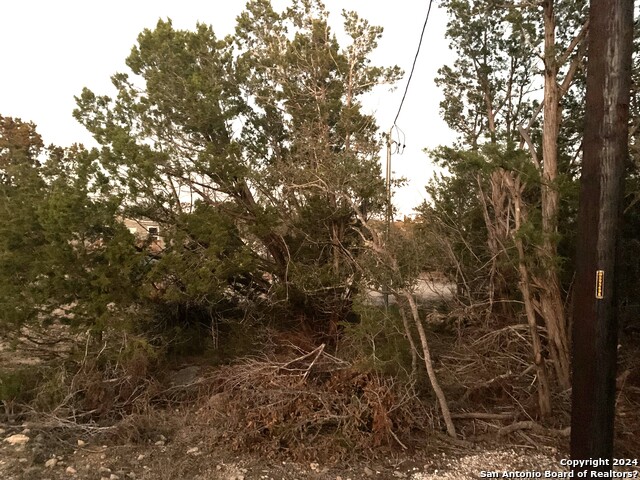 1085 Ramble Hills, Canyon Lake, Texas image 4