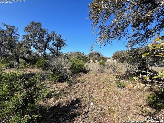 23463 N Cranes Mill, Spring Branch, Texas image 8
