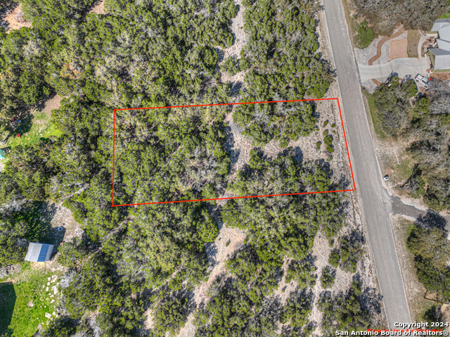 1490 Desiree St, Canyon Lake, Texas image 3