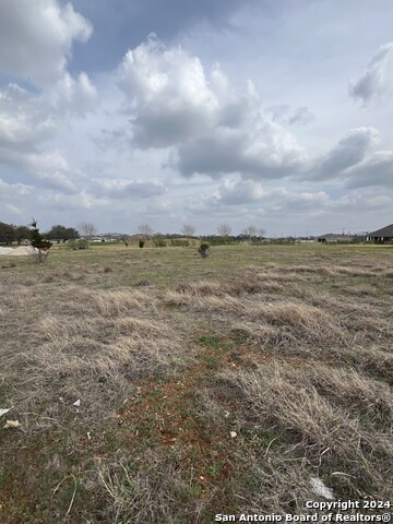 116 Roy Nichols, Blanco, Texas image 2