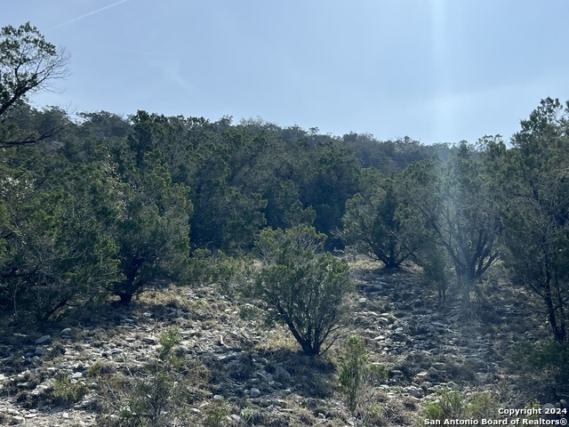 1081 Hillside Vw, New Braunfels, Texas image 18