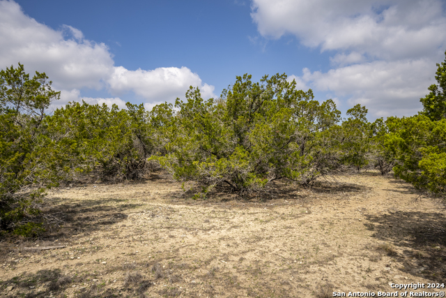 551 Deer Crk, Spring Branch, Texas image 5
