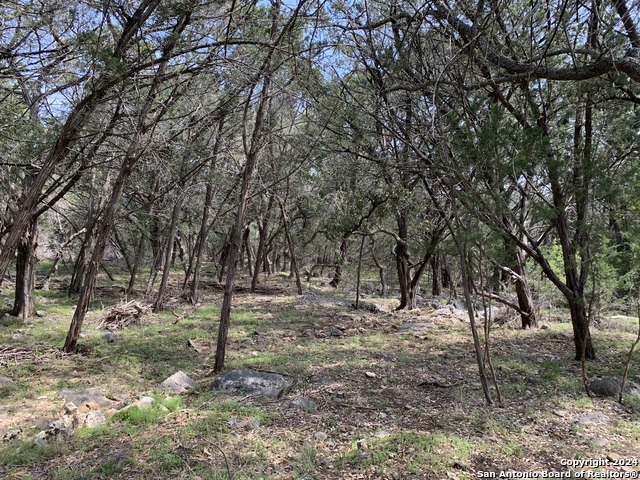 4224 Wegner Rd, New Braunfels, Texas image 16