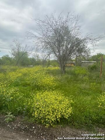 LOTS 64 & 65 Noriega St, San Antonio, Texas image 3