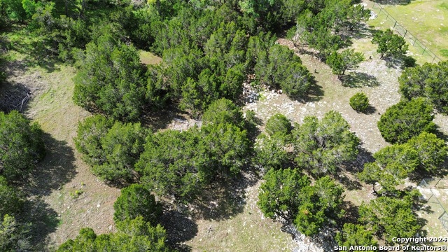 1191 Powder Ridge Rd, New Braunfels, Texas image 11
