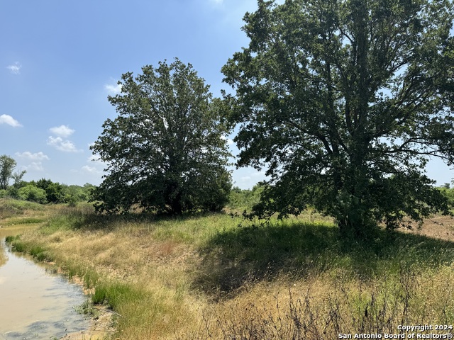 16485 Interstate 10, Luling, Texas image 21