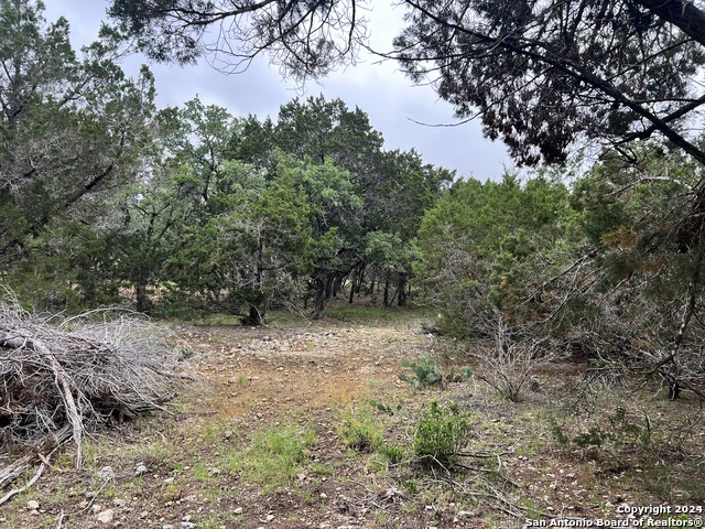 512 Lasso Loop, Canyon Lake, Texas image 5