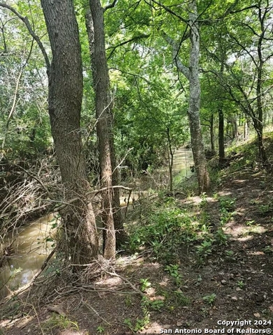 760 Greytown, Saint Hedwig, Texas image 3