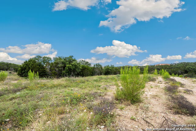 0 TBD Lot 2310, New Braunfels, Texas image 8