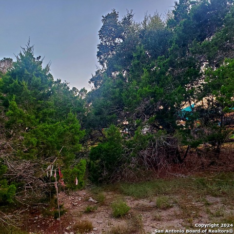 284 Kellog, Fischer, Texas image 18