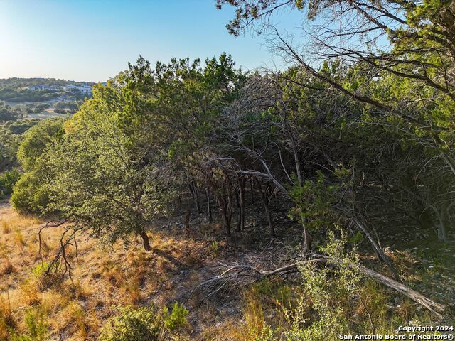 1155 Hancock Rd, Canyon Lake, Texas image 8
