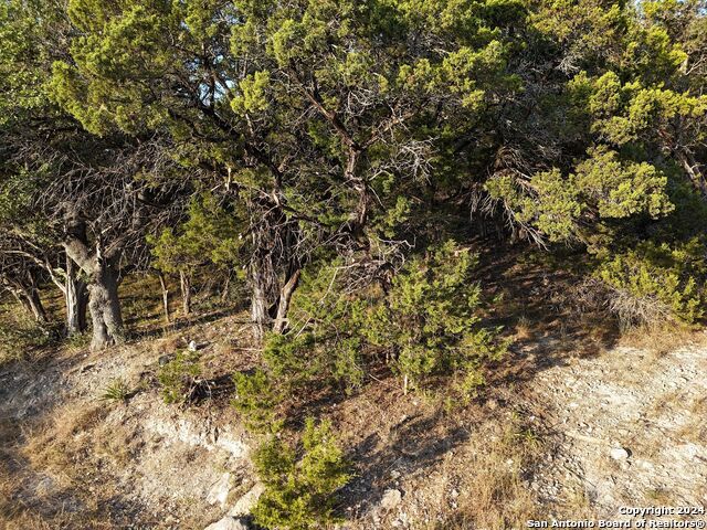 1167 Hancock Rd, Canyon Lake, Texas image 17