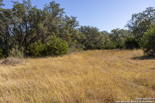 BLOCK 2 LOT 3 Fortunate Son, Boerne, Texas image 6