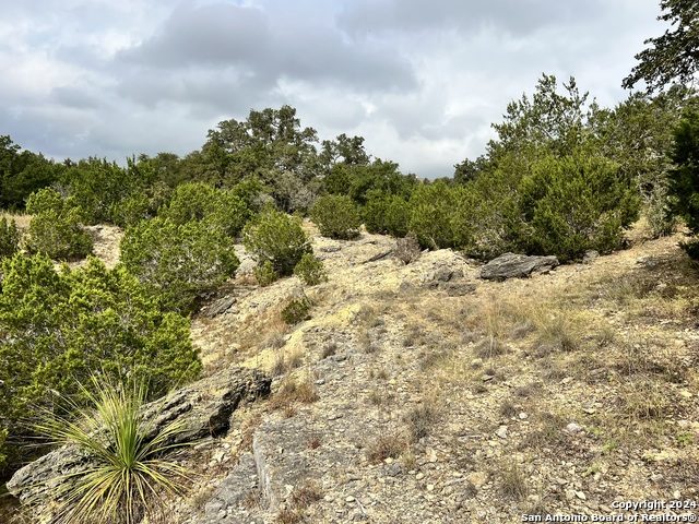 1182 Mystic Shores Blvd, Spring Branch, Texas image 13