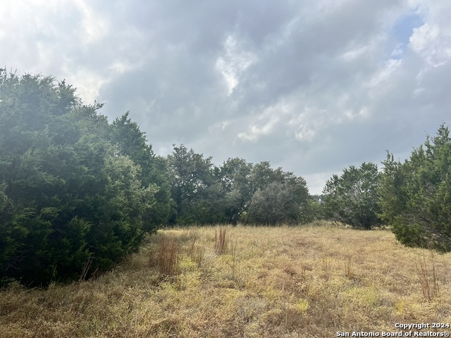 1182 Mystic Shores Blvd, Spring Branch, Texas image 8