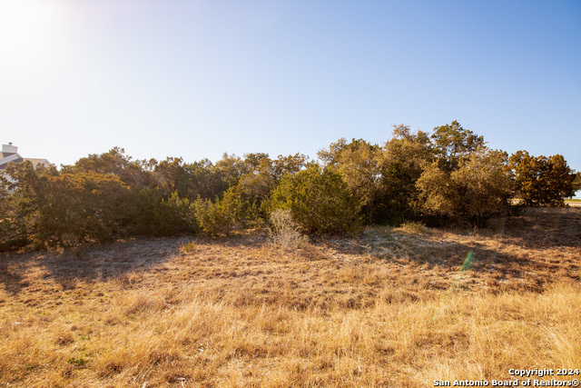 102 Jackson Creek, Canyon Lake, Texas image 15