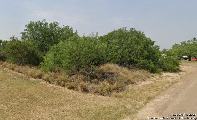 211 Hawk St, ZAPATA, Texas image 4