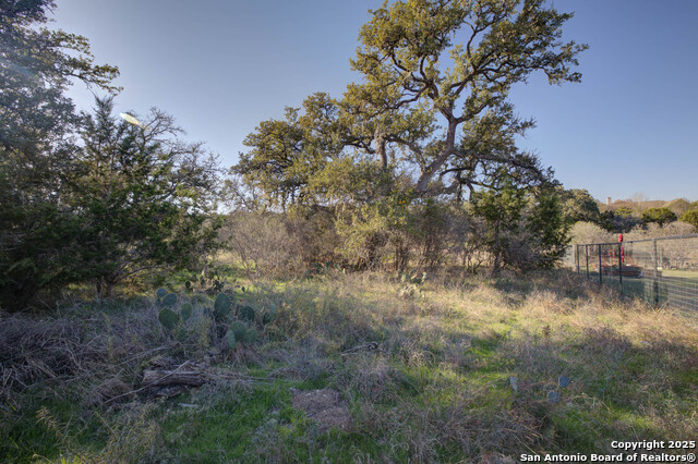 132 Maple Terrace, New Braunfels, Texas image 4