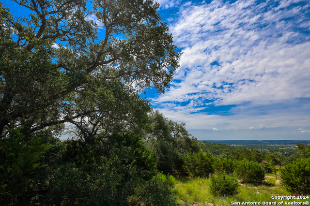 255 River Bend Place, Spring Branch, Texas image 6