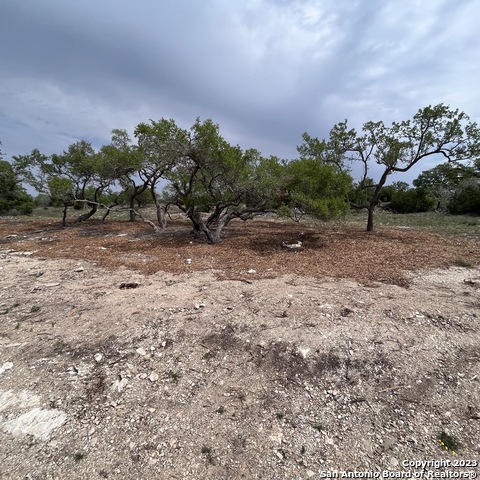1430 Trailhead, New Braunfels, Texas image 2