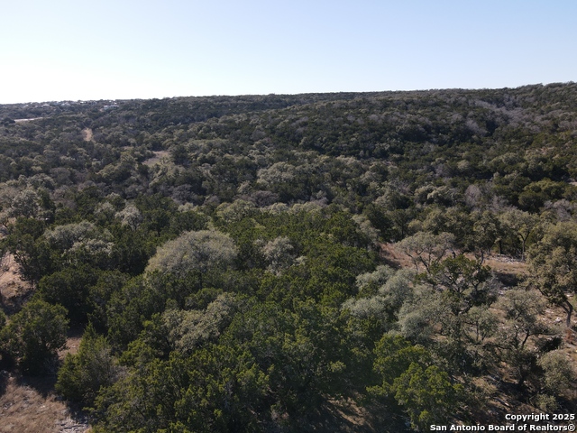1325 Powder Ridge, New Braunfels, Texas image 3
