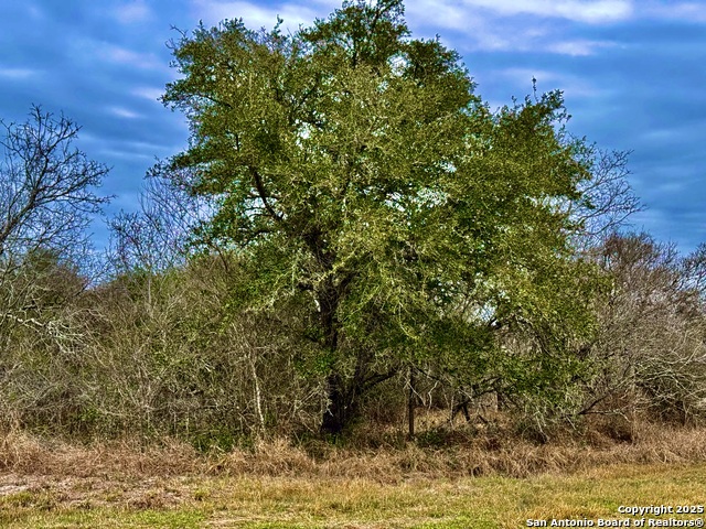 TBD Fm 2441, Beeville, Texas image 16