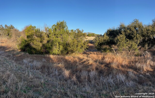 3520 Comal Spgs, Canyon Lake, Texas image 1