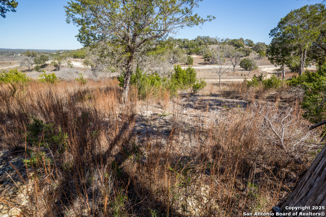 935 Enchanted, Canyon Lake, Texas image 17